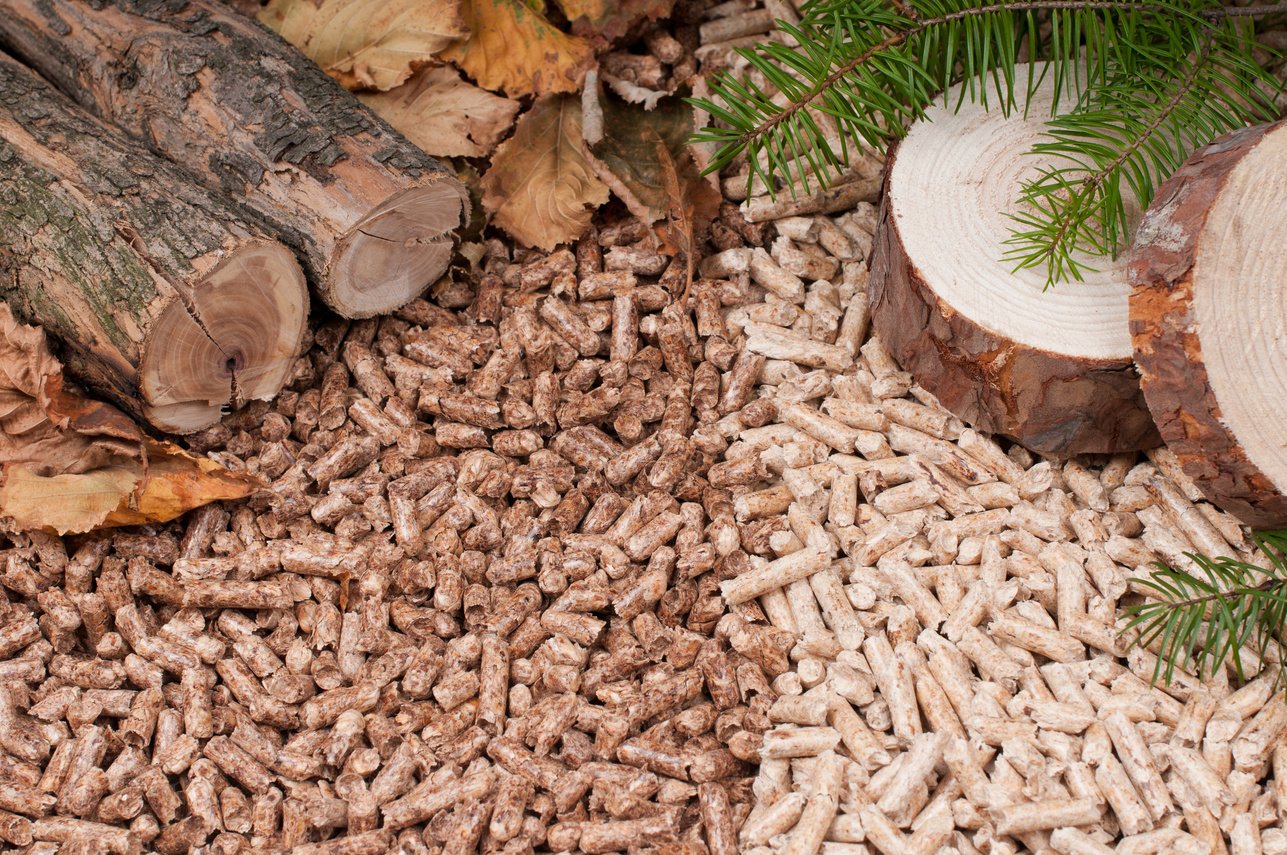 Pellets- biomass